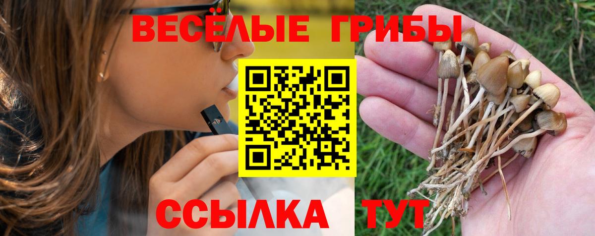 купить наркоту  Вход с VPN  Нерюнгри  Галлюциногенные грибы MAGIC MUSHROOMS 