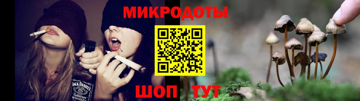 Галлюциногенные грибы Cubensis Нерюнгри
